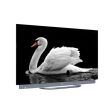 Smart TV Android Haier 55  OLED UHD 4K H55C900UX - 140cm Online now