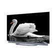 Smart TV Android Haier 55  OLED UHD 4K H55C900UX - 140cm Online now